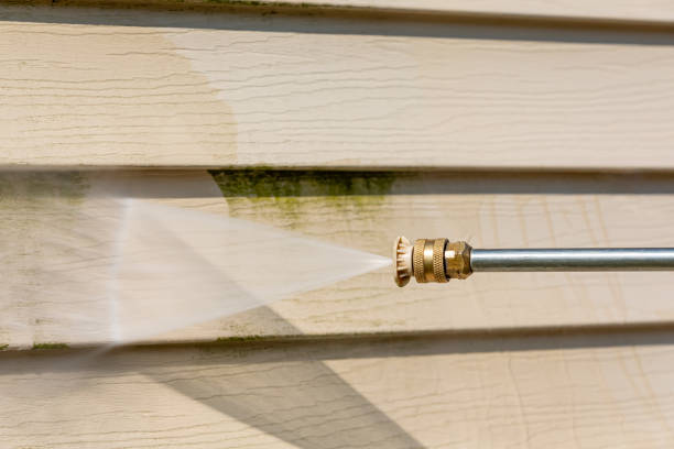 Best Roof Power Washing Services  in Odessa, MO