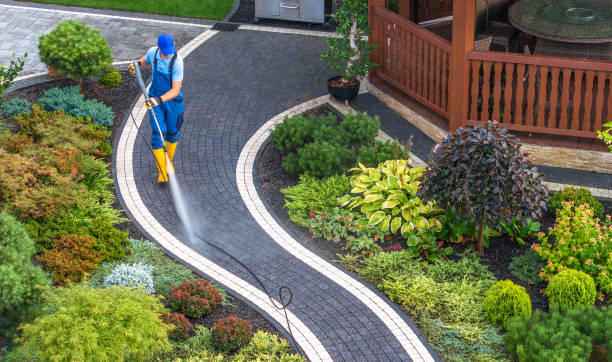 Best House Pressure Washing  in Odessa, MO